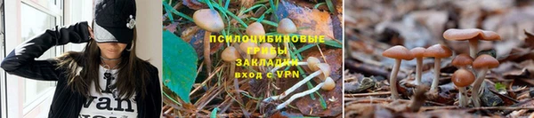 мдма Переславль-Залесский