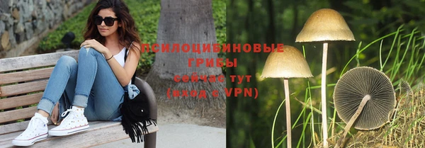 PSILOCYBIN Алексин
